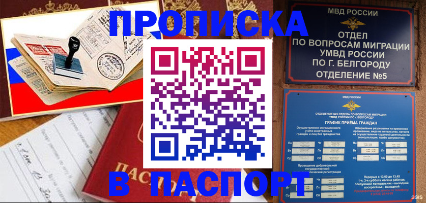 купить прописку в Смоленской области